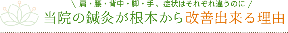 肩・腰・背中・脚・手 、症状はそれぞれ違うのに当院の鍼灸が根本から改善出来る理由